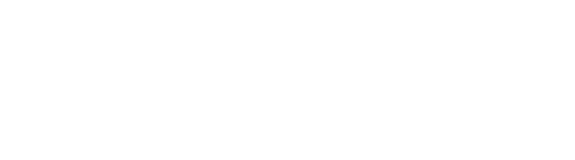Steelwrist-Logo